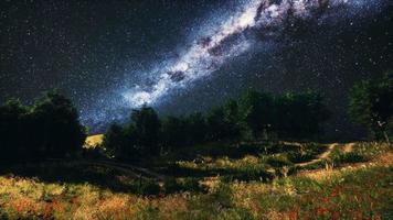 bosques de árboles verdes en el parque bajo el cielo estrellado de la noche video