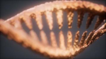 heldere deeltjes 3D-gerenderde dna video