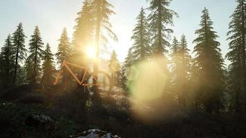 Bicycle in Mountain Forest video