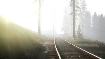 chemin de fer vide traverse la forêt brumeuse le matin