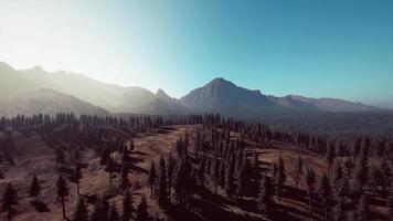 Flygfoto över bergskedjan med tallskog i Bayern video