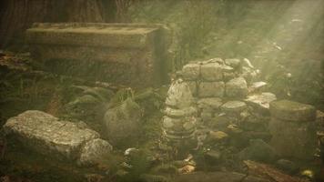 Hoary-Ruinen der antiken Stadt im Pinienwald video