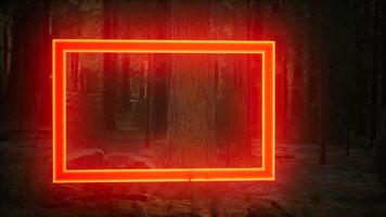 Neon glowing rectangle frame in the night forest video