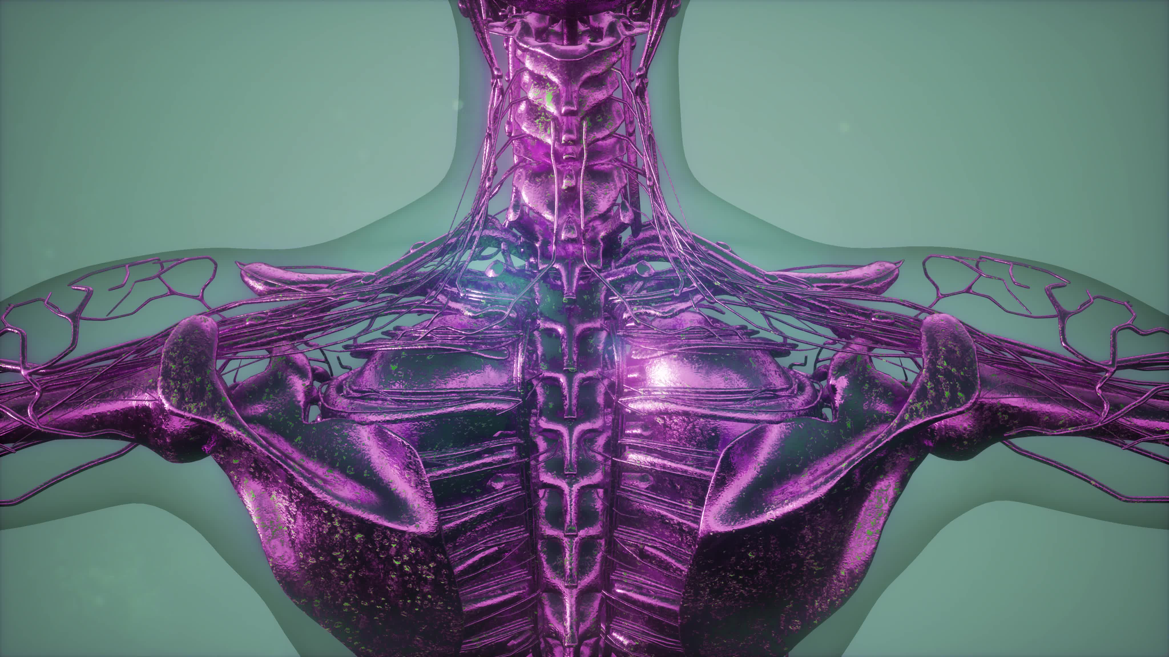 Anatomy Tomography Scan of Human Body 6129112 Stock Video at Vecteezy Biology Diagrams