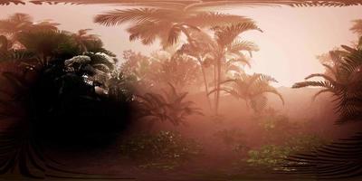 VR360 Camera Moving in a Tropical Jungle Rainforest