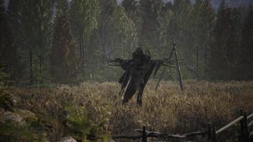 terrible scarecrow in dark cloak and dirty hat stands alone in autumn field video
