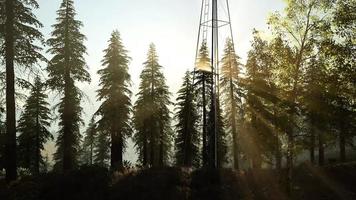 typische oude windmolenturbine in bos bij zonsondergang video