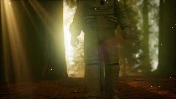 astronauta solitario nella foresta oscura video