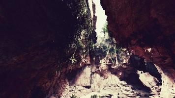 large fairy rocky cave with green plants video