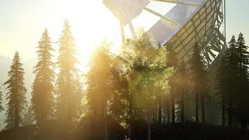 de observatorium-radiotelescoop in het bos bij zonsondergang video