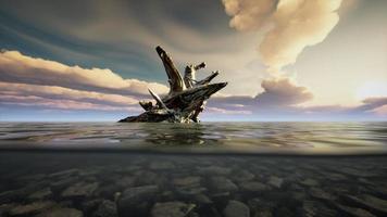 paisaje marino oceánico con cielo y olas oceánicas divididas por la línea de flotación en la parte submarina video