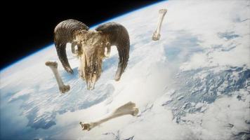 rams skull with bones at Earth orbit video