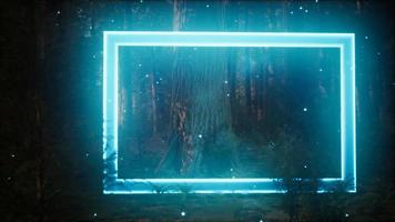 cadre rectangle lumineux au néon dans la forêt de nuit video