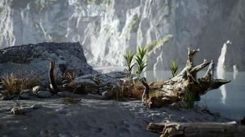 8k sandstrand bland stenar vid Atlantkusten i portugal video