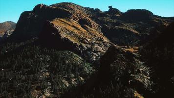 panorama della foresta di coni in montagna video