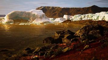 icebergs antarctiques près de la plage rocheuse