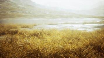 large steppe de vallée avec de l'herbe jaune sous un ciel nuageux sur les chaînes de montagnes video