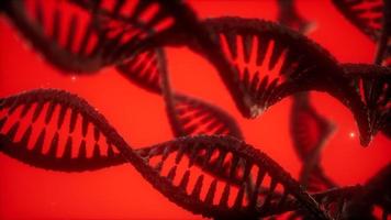 struttura dell'animazione a doppia elica del dna video