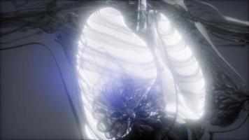 Röntgenuntersuchung der menschlichen Lunge video
