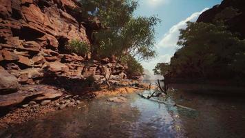 Panoramic view of Colorado River video