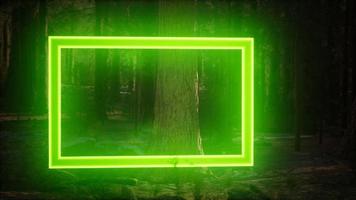 Neon glowing rectangle frame in the night forest video