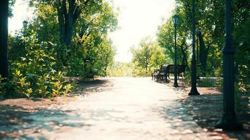 sentier vide dans le parc en été video