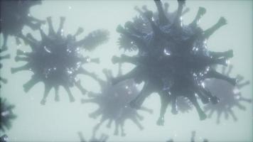 bactérias vírus ou germes células de microorganismos sob microscópio com profundidade video
