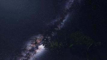 Astro 4k de la galaxie de la voie lactée au-dessus de la forêt tropicale. video