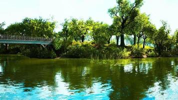 8k pond of city Central Park in summer day video