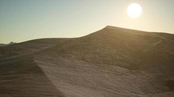 Aerial view on big sand dunes in Sahara desert at sunrise video