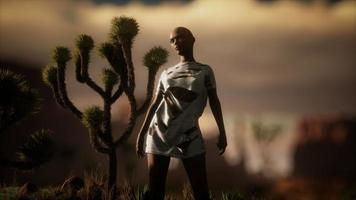 mulher de camisa rasgada em pé por cacto no deserto ao pôr do sol