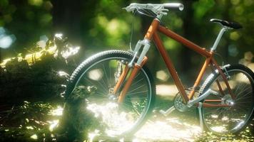 Mountain bike on the forest path