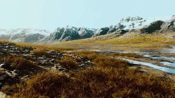 dry grass on the mountain with fog video