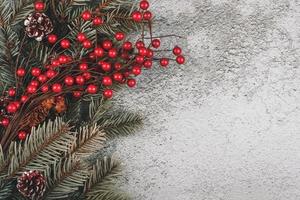 Merry Christmas.Christmas concept background.Christmas tree branches and berries photo