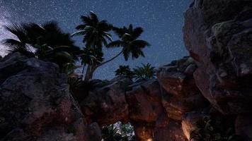 4k trilhas de estrelas hyperlapse sobre paredes e palmeiras do desfiladeiro de arenito video