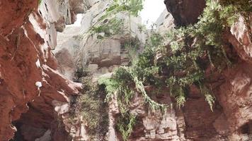 à l'intérieur d'une grotte calcaire avec des plantes et du soleil video