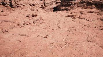 rochas vermelhas do parque nacional do grand canyon video