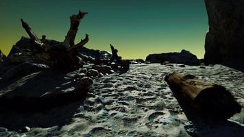 hyperlapse of rocky beach with dead trees video