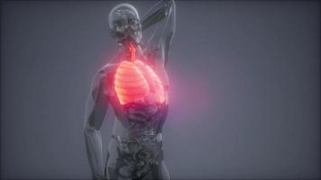 Röntgenuntersuchung der menschlichen Lunge video