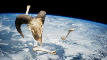 rams skull with bones at Earth orbit