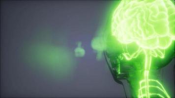 Human Brain Radiology Exam video