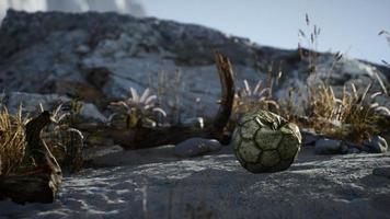 una vieja pelota de fútbol rota tirada yace en la arena de la playa del mar video