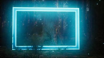 cadre rectangle lumineux au néon dans la forêt de nuit video