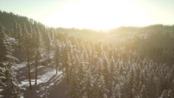 paysage d'hiver éclairé par la lumière du soleil le matin