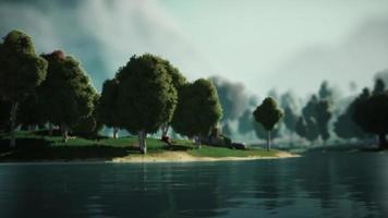 Cartoon Green Forest Landscape with Trees and lake video