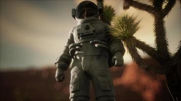 astronauta no alto deserto de nevada video