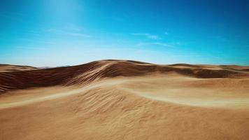 beautiful sand dunes in the Sahara desert video