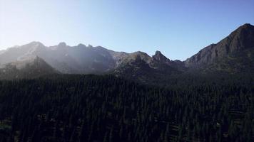 Aerial view over Mountain range with pine forest in Bavaria video