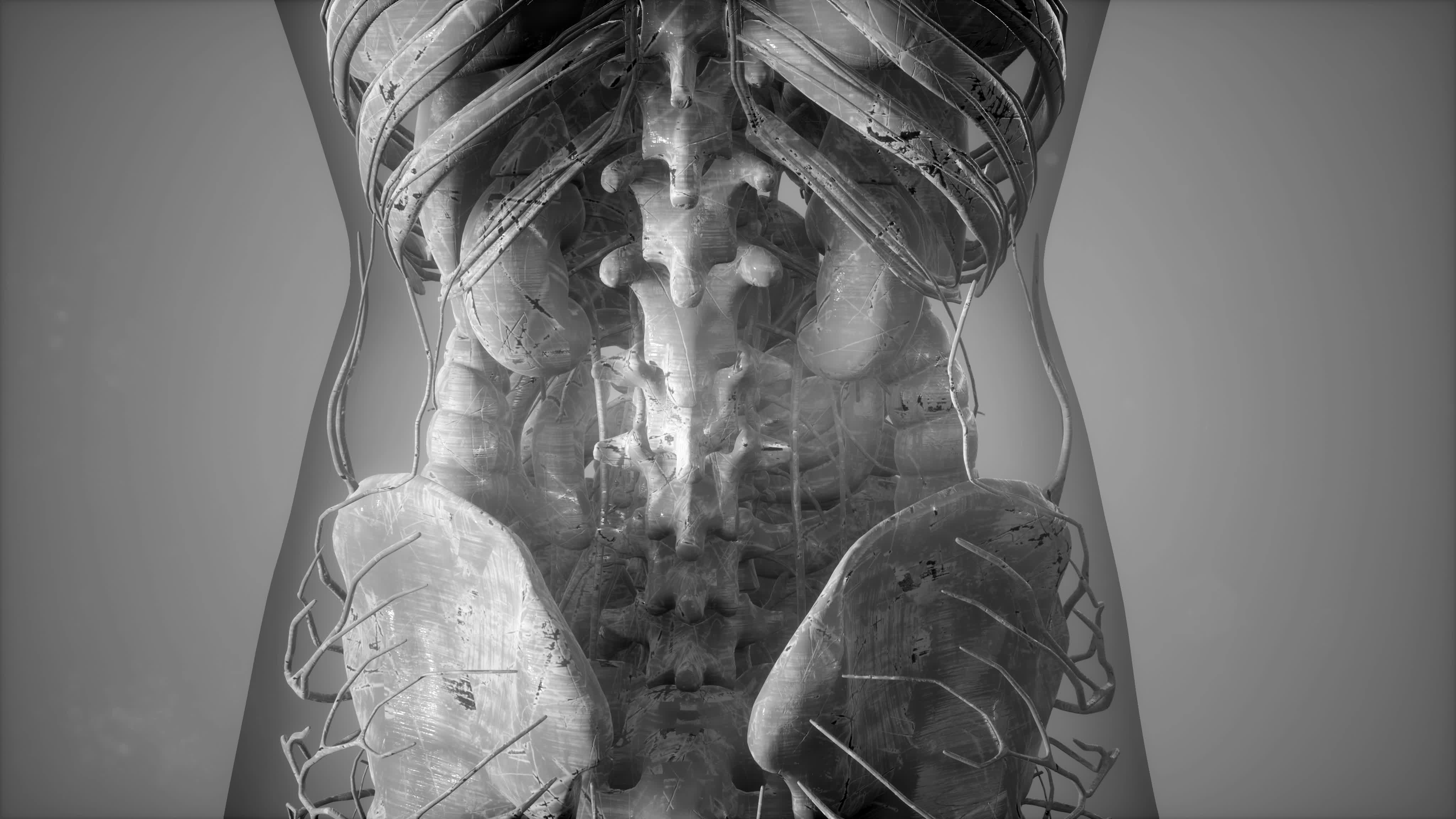 Anatomy Tomography Scan of Human Body 6132529 Stock Video at Vecteezy Biology Diagrams
