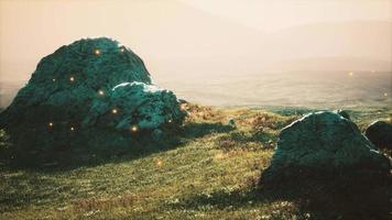 alpine meadow with rocks and green grass video